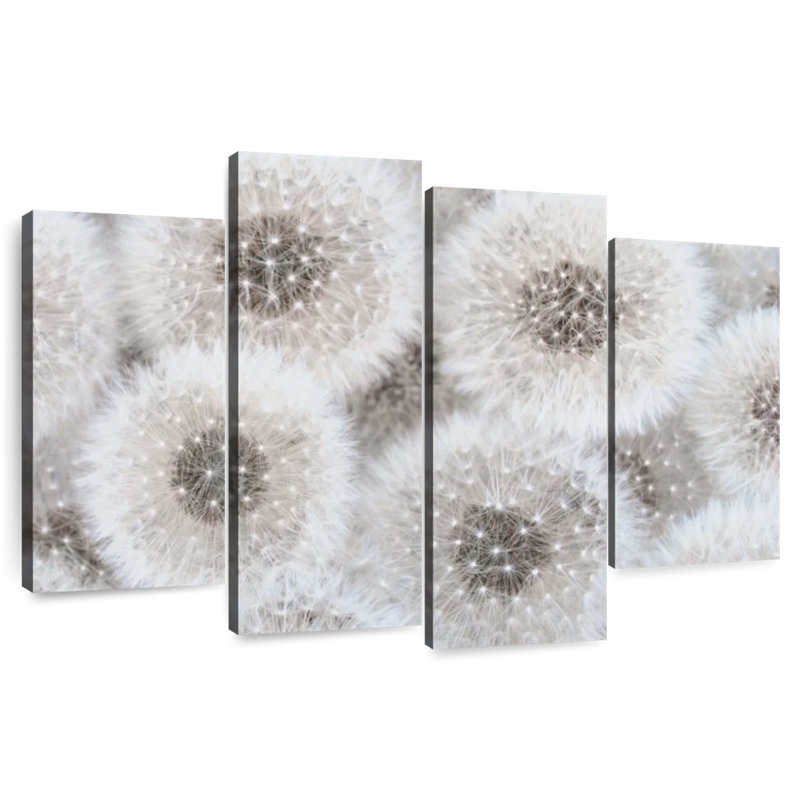 Harnek Delicate White Dandelions