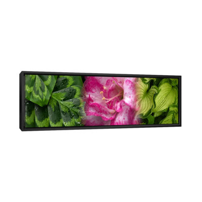 " Leaves And Flowers "
