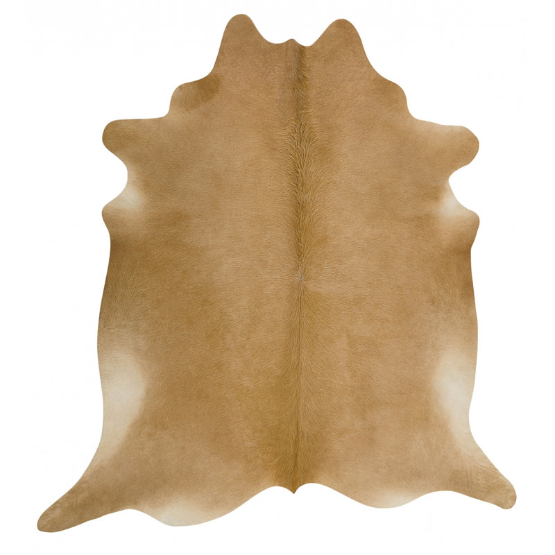 Amet Cowhide Indoor Rug, 5' x 7'