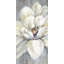 Fleur sur bois - Reproduction matte encadrée pour la décoration intérieure-1018326248-1018326250