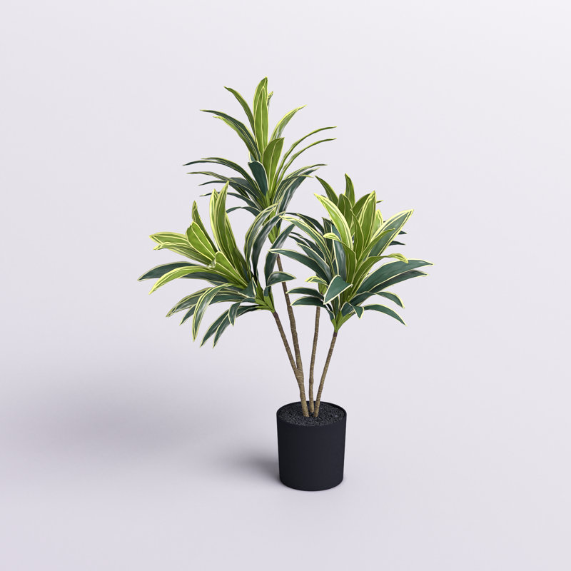 Arbre Dracaena artificiel Keil en pot, H 26 po x l 22 po x P 22 po