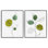 «Minimalist Line Monstera Plants», ensemble de 2 giclées encadrées par Yvette St. Amant