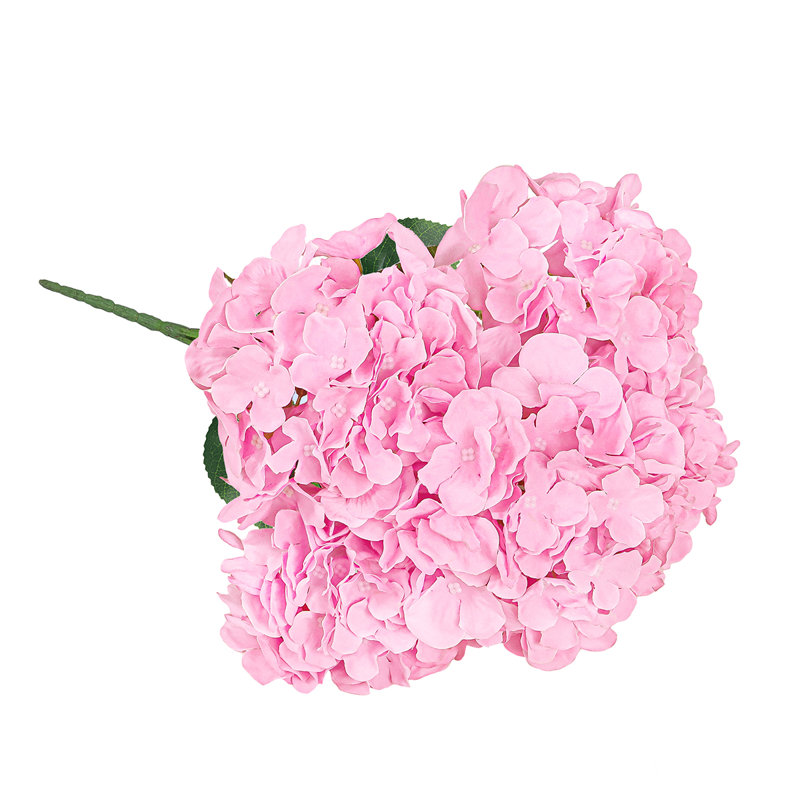 Hortensia de luxe, Rose