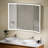 Liyah Led Trifold Backlit & Front-lighted Bathroom Vanity Wall Mirror Dimmable Anti Fog Memory Function-107101779