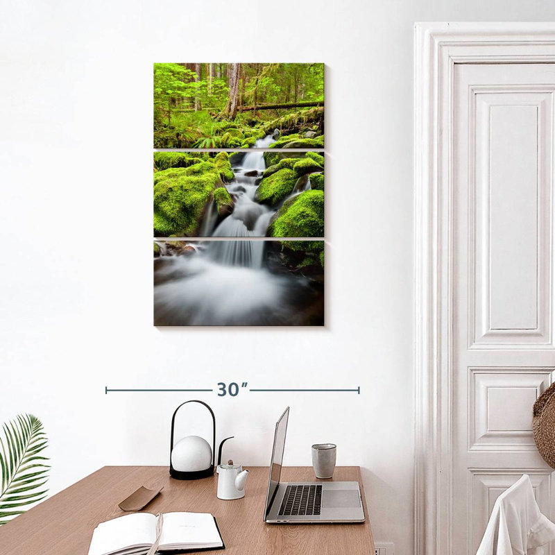 Cascade d'Alvord à la forêt nationale olympique, H 32 po x l 20 po