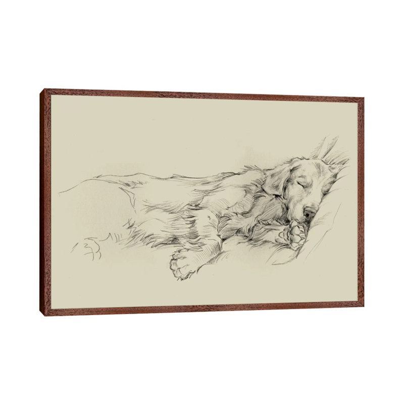 Dog Days III 1 Piece Wall Art on Canvas, 101.6 cm H x 66.04 cm W, Brown Framed