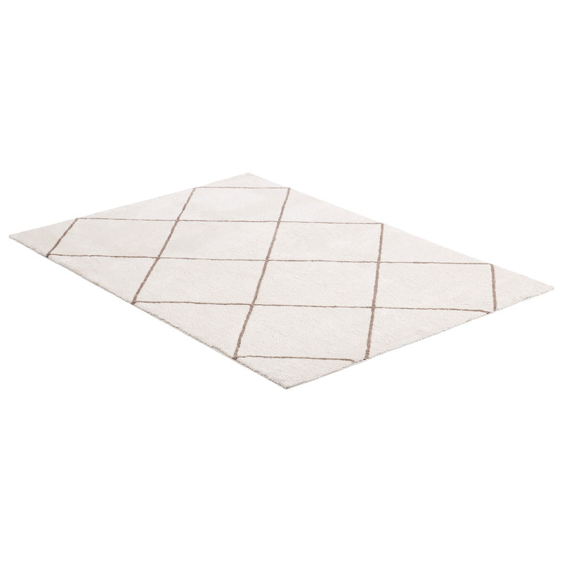 Tapis d'intérieur moelleux, tapis moelleux de 6 pi x 9 pi, tapis à poils longs avec poils longs, épais et durables