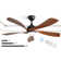 Whisper 52" 5 ABS Blade Propeller Classic Ceiling Fan with LED Lights and Remote Control