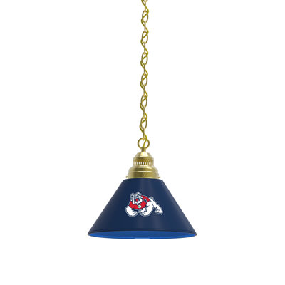 1 - Light Single Pendant