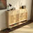 Simple large capacity storage shoe cabinet