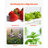 UPVC Pipe Hydroponic Growing System Kit