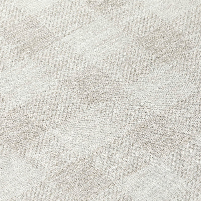 Colzie Gingham Indoor / Outdoor Rug, Rectangle 2'6" x 3'10"