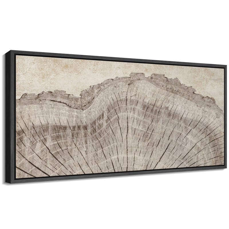 Tree Rings in Neutral Tones Modern Art Extra Large Artwork Print Wall Art, 30" H x 60" W, Black