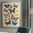 " Collected Flutter II "-136436277-136436276