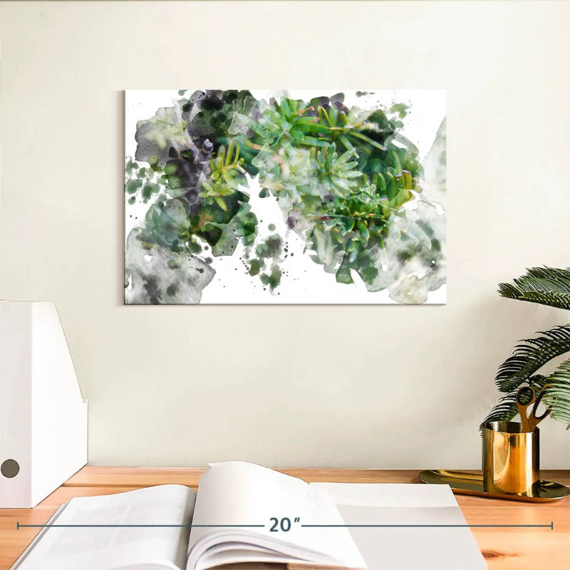 Plante grasse Harnek, H 8 po x l 12 po