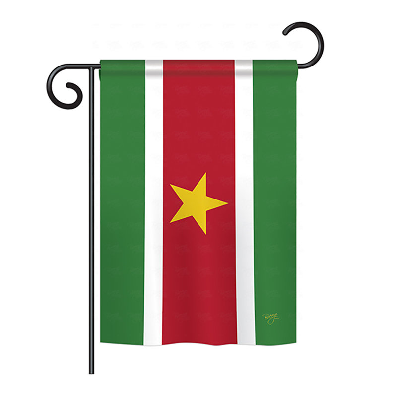 Double Sided Polyester House Flag, 18.5" H x 13" W