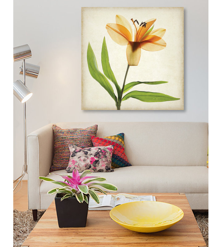 « parchemin floral xi », impression sur toile, H 12 po x l 12 po x P 0,75 po, Toile tendue, Pas de tapis