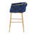 Siboney Luxurious Counter Stool Set-94222395
