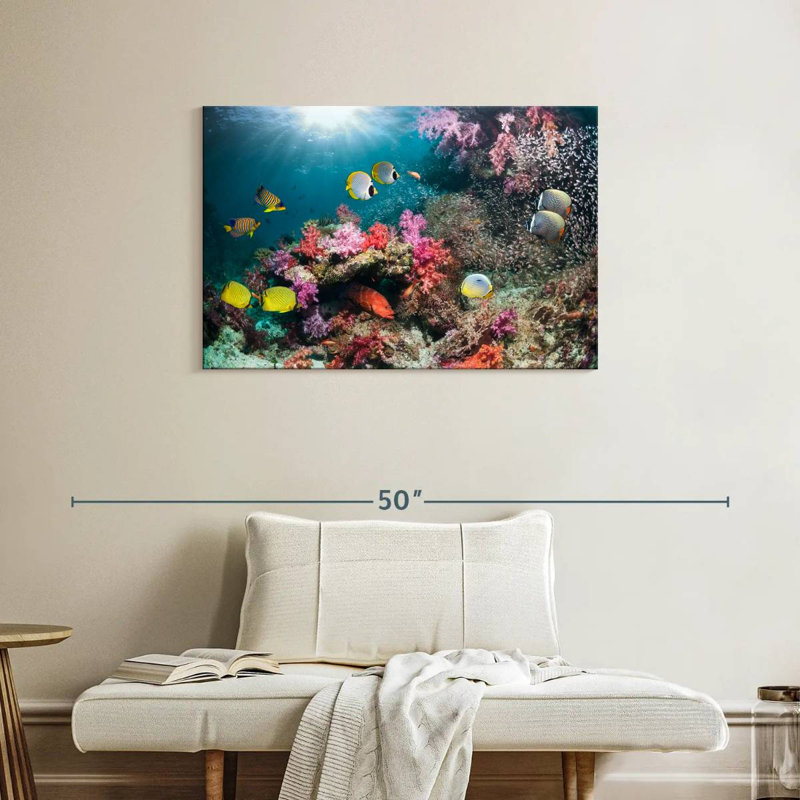 Andaman Sea Life, H 24 po x l 36 po