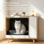 Litter Box Enclosure