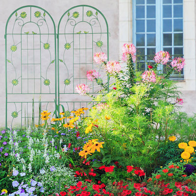 Versatile Rustproof Metal Trellis For Outdoor Plants, Enhancing Garden Beauty