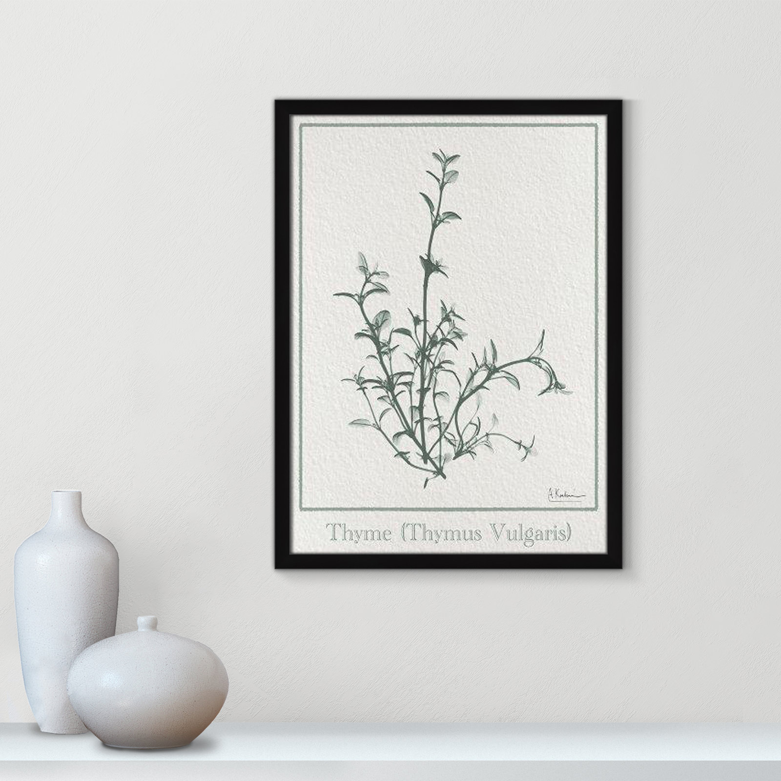 Jeanette "Thymus Vulgaris" Print, 23" H x 17" W x 1.25" D, Satin Black Framed Paper