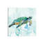 Sea Turtle Swim I by Carol Robinson - No Frame Print on Canvas-50004892-56677061