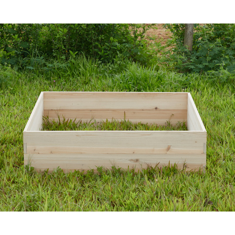 Dorgan Wood Planter Box
