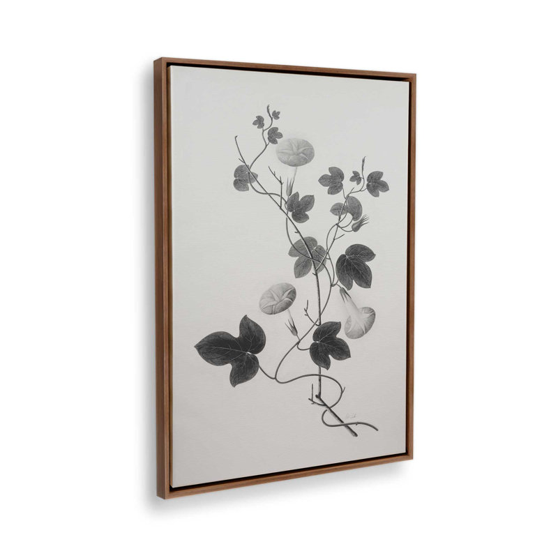 «Botanical VI» par Deborah Revell, reproduction d'art sur toile, H 30 po x l 20 po, Cadre flottant, Brun