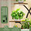 Plant Stand