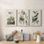 Pl 190 Lincoln Finch - ensemble de 3 impressions sur toile tendue-1010519626