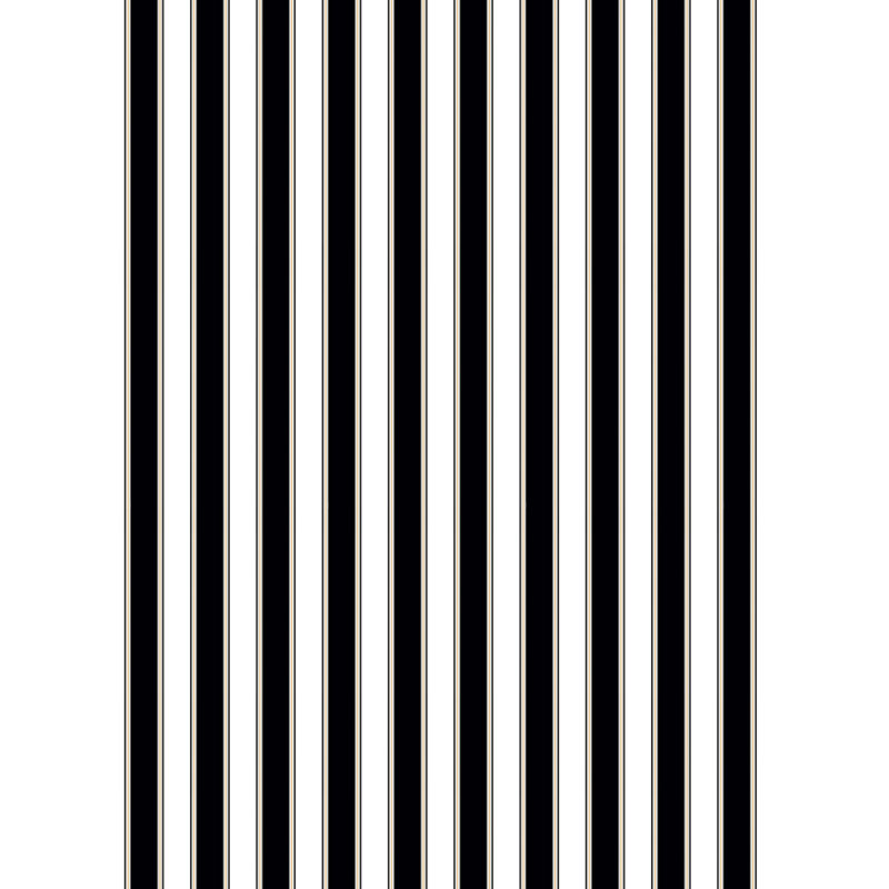 Raie de piano | Toile, Ébène