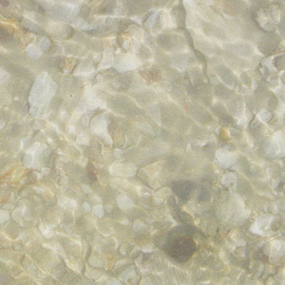 Coquillages carrés IV