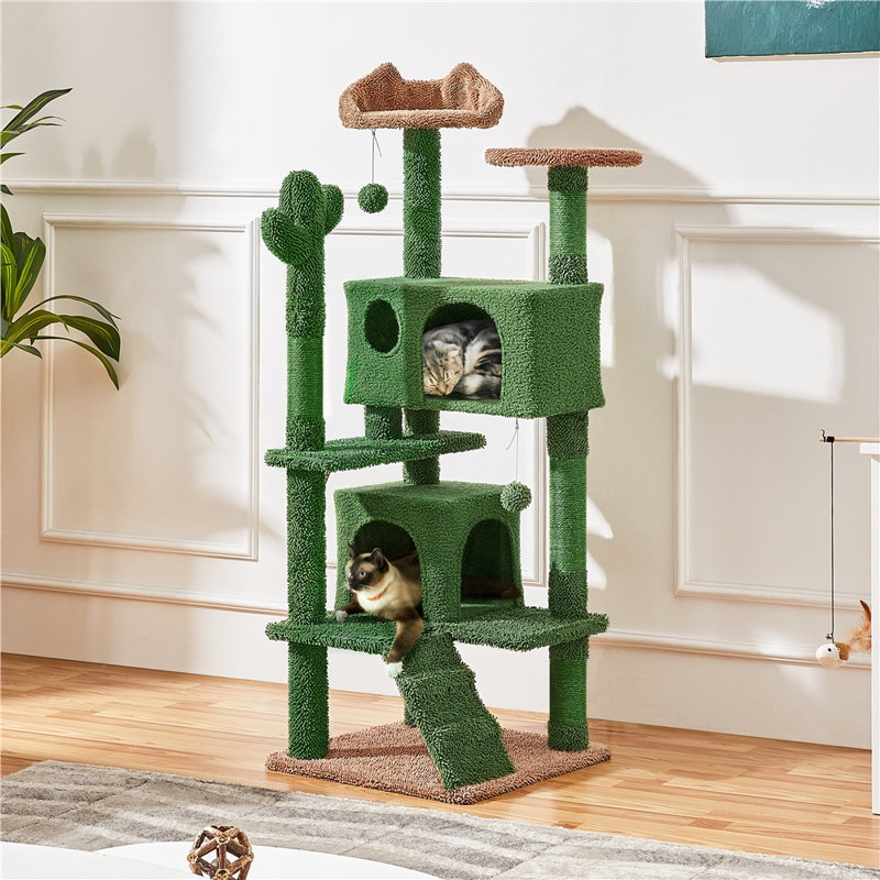Tour pour chaton avec cactus Cleobury