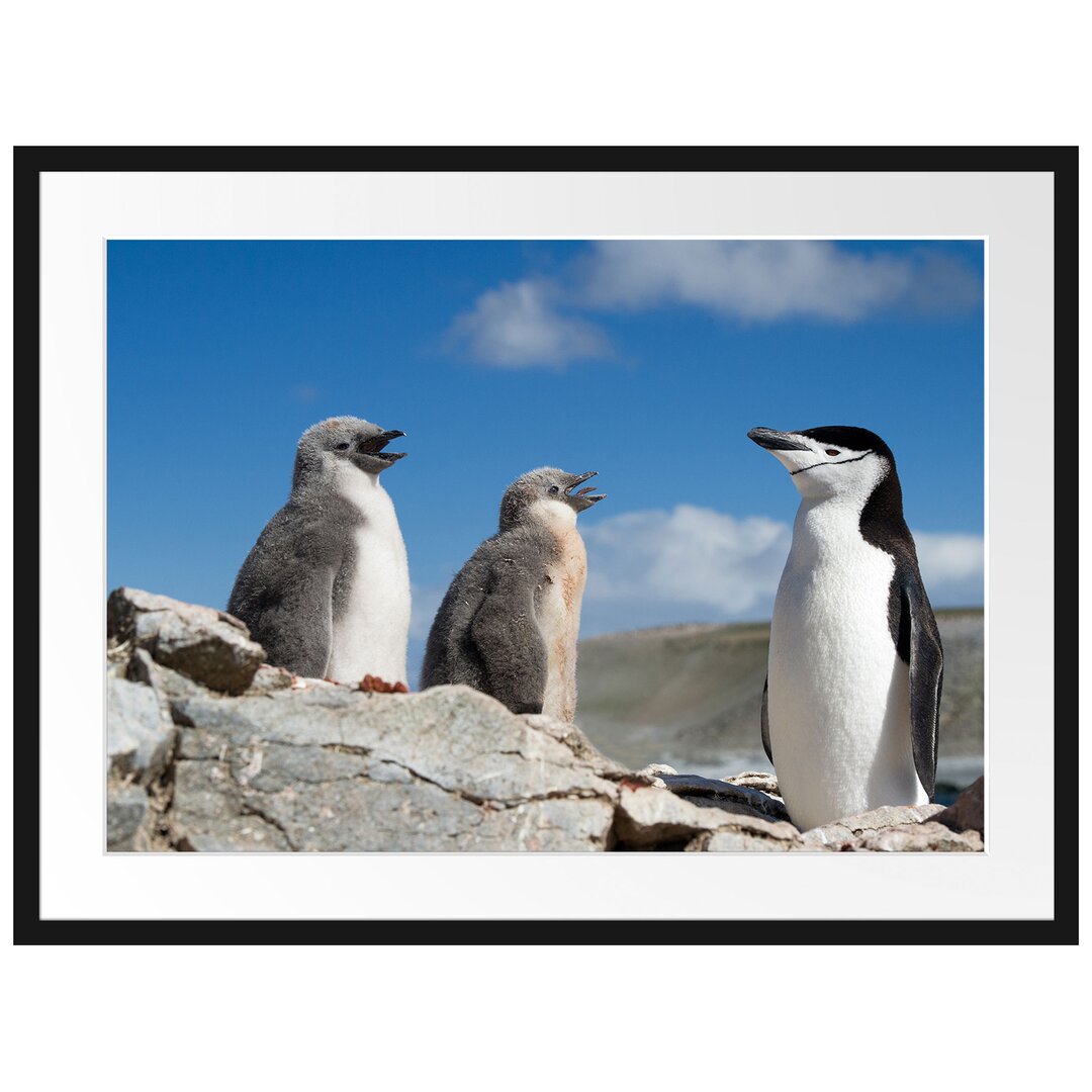 Gerahmtes Poster Pinguin mit süßen Küken