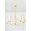 Montpelier 5 Light Chandelier-1566449914
