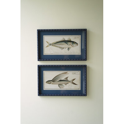  Framed Wall Art, Fish Prints Under Glass 12.5"H – Navy Framed Coastal, Set of Two