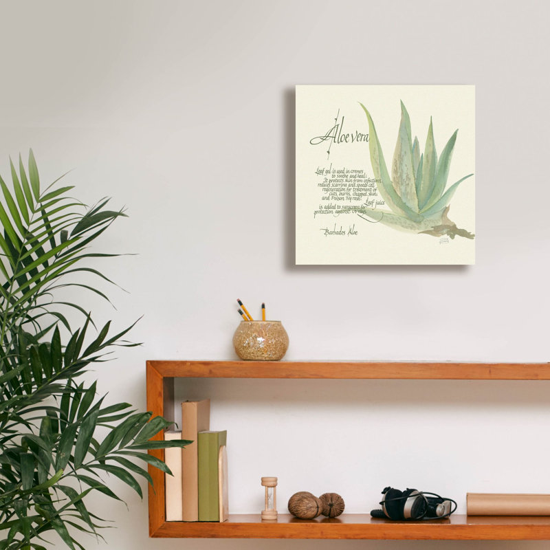 «Aloe Vera» par Chris Paschke, art mural sur toile, H 12 po x l 12 po x P 0,75 po