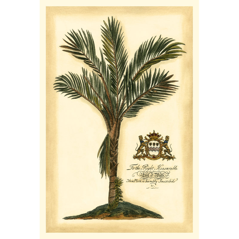 British Colonial Palm IV, H 12 po x l 8 po x P 1,25 po