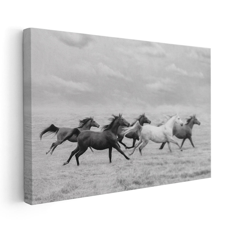 Horse Run I - reproduction d'art sur toile, H 20 po x l 30 po