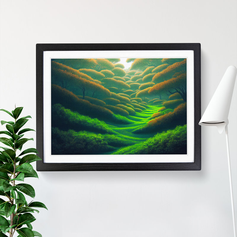 Forest Beauty - Single Picture Frame Print, Black Framed, 46cm H x 64cm W x 2cm D
