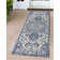 Blue Indoor / Outdoor Area Rug