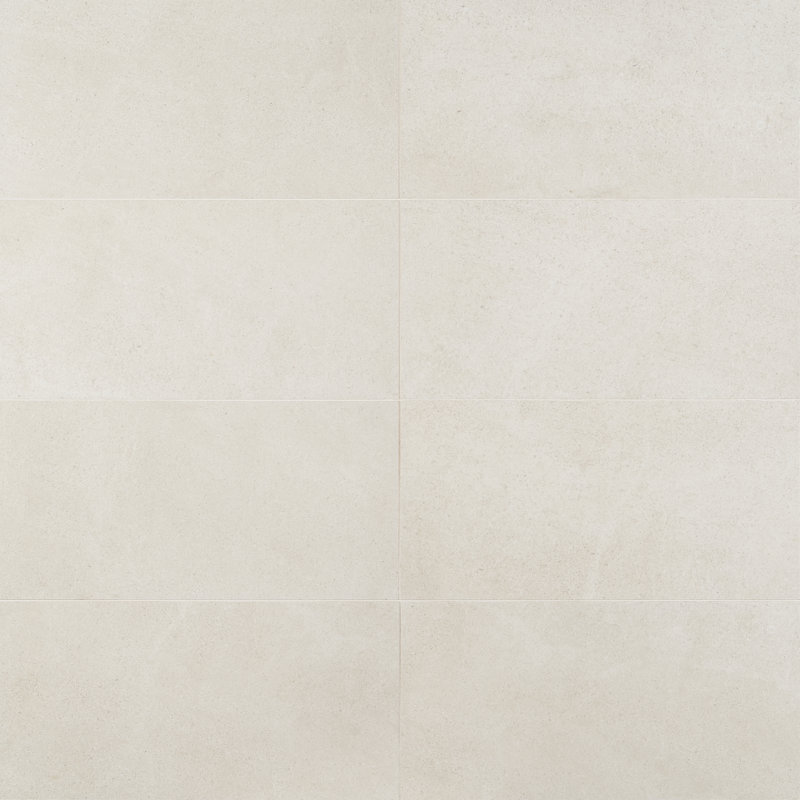 Roosevelt 12" x 24" Porcelain Stone Look Wall & Floor Tile, Lake