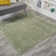 Aricel Solid Low-Pile Green Rug