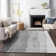Premium Machine Washable Prisco Gray Rug