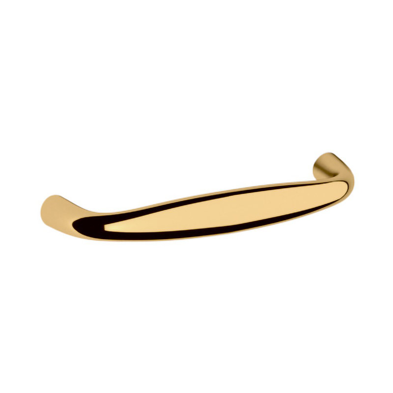 Polished Brass Oval Cabinet Pull with Mounting Hardware