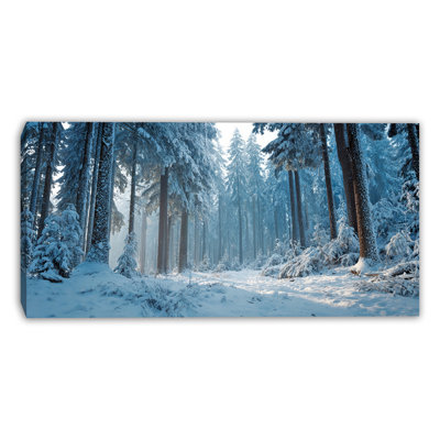 «Winter Light in the Pines», art mural sur toile tendue
