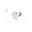 Koala - reproduction d'impression-52838170-52838171-52838172