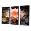 Nénuphars roses et roses-2099376961-2099377023