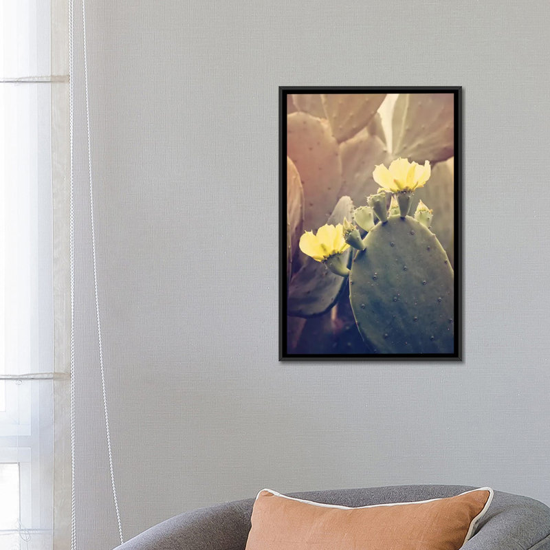 «Desert rose» par Ann Hudec - reproduction de photo sur toile tendue, H 26 po x l 18 po x 1,5 po, Toile avec cadre noir